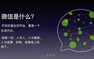 微信小程序定制開發全攻略 從模板到企業服務的一站式解決方案
